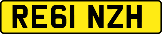 RE61NZH