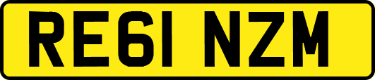 RE61NZM