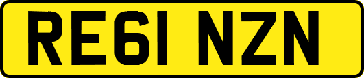 RE61NZN