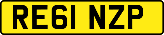 RE61NZP