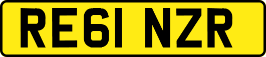 RE61NZR