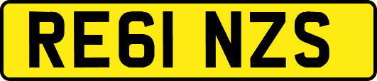 RE61NZS