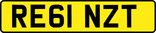RE61NZT