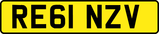 RE61NZV