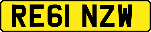 RE61NZW