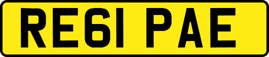 RE61PAE