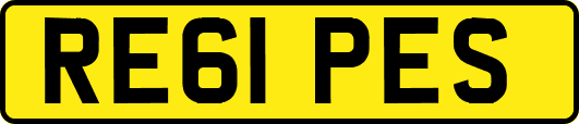 RE61PES