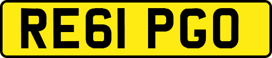 RE61PGO