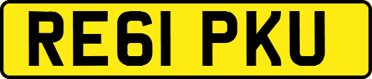 RE61PKU
