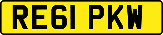 RE61PKW