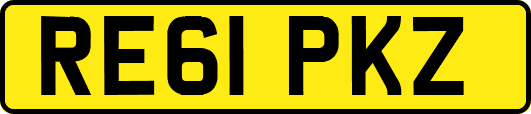 RE61PKZ