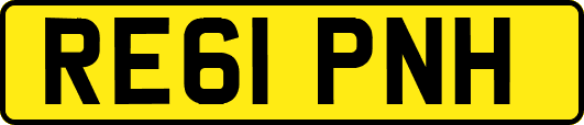 RE61PNH