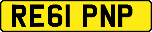 RE61PNP