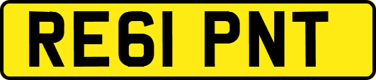 RE61PNT