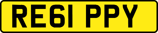 RE61PPY