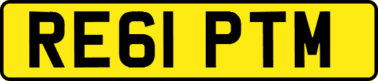 RE61PTM