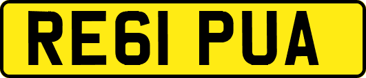 RE61PUA