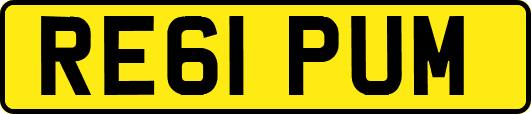 RE61PUM
