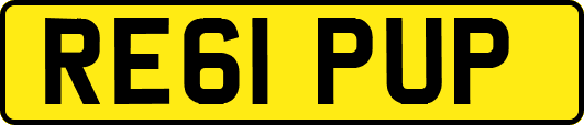 RE61PUP