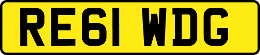 RE61WDG