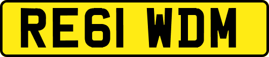RE61WDM