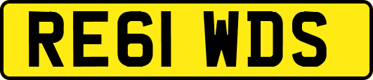 RE61WDS