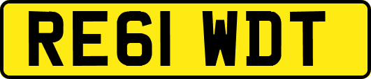 RE61WDT