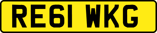 RE61WKG