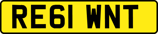 RE61WNT