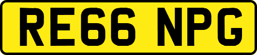 RE66NPG
