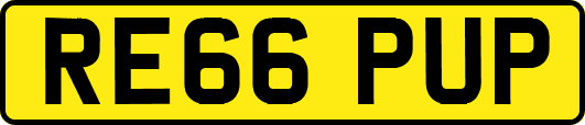 RE66PUP