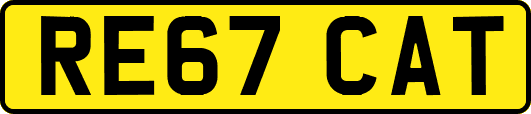 RE67CAT