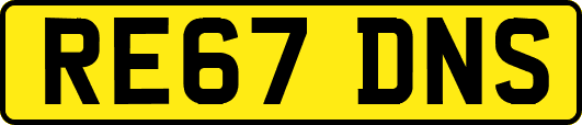 RE67DNS