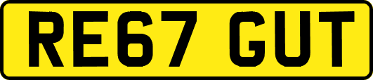 RE67GUT