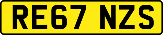 RE67NZS
