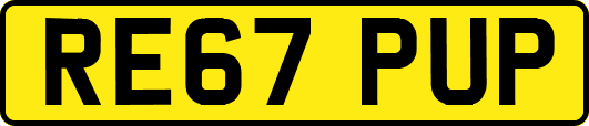 RE67PUP