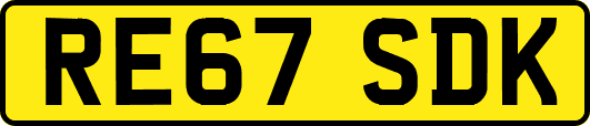 RE67SDK