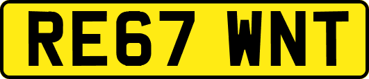 RE67WNT