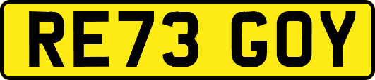RE73GOY
