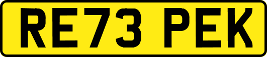 RE73PEK