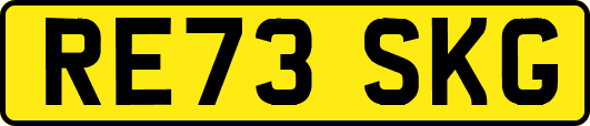 RE73SKG