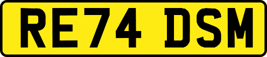 RE74DSM