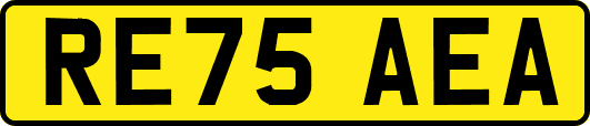 RE75AEA