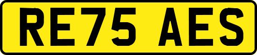RE75AES