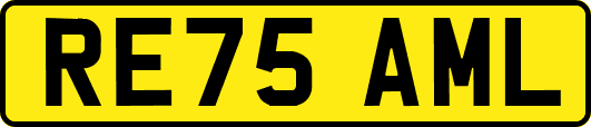 RE75AML