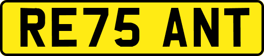 RE75ANT