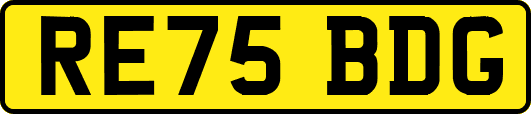 RE75BDG