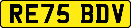 RE75BDV