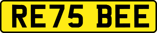 RE75BEE