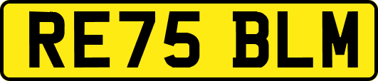 RE75BLM